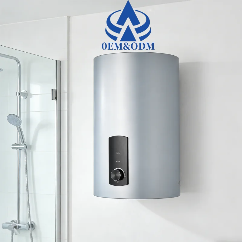 Sanitary Stainless Steel Water Heater